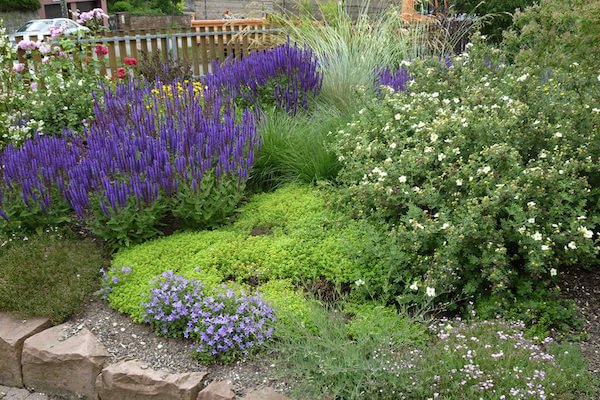 Braun Garten und Landschaftsbau Stuttgart