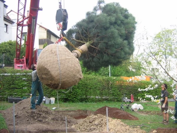 Referenzen Braun Garten und Landschaftsbau Stuttgart